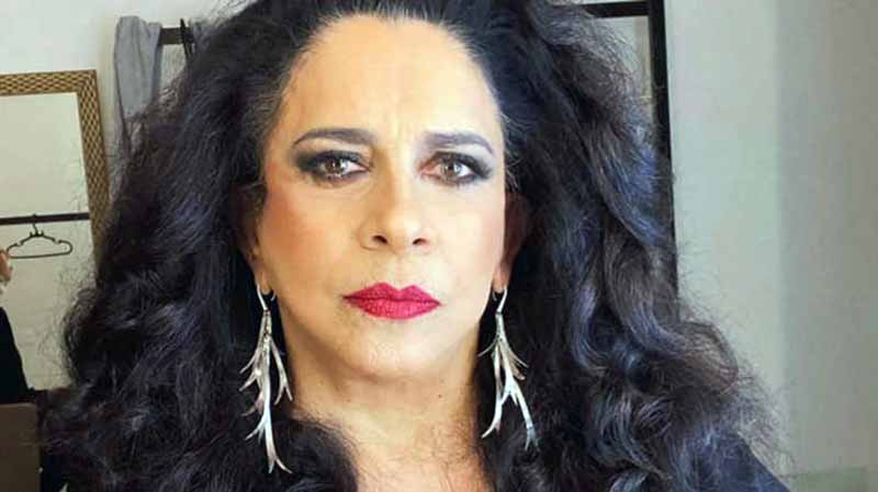 Assessoria desmente que causa da morte de Gal Costa tenha sido infarto