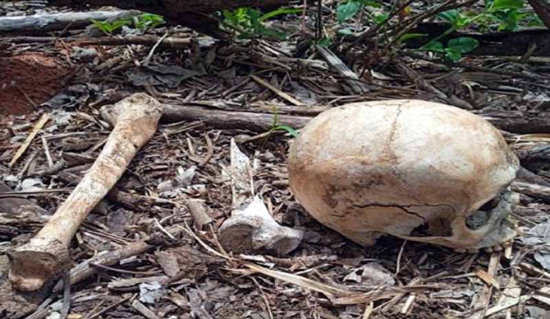 Trabalhadores encontram ossada humana e Polícia pede apoio para identificar a vítima!