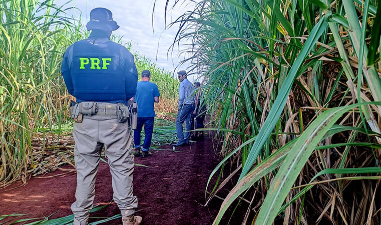 A PRF junto com o Ministério do Trabalho participa de fiscalização de condições de trabalho