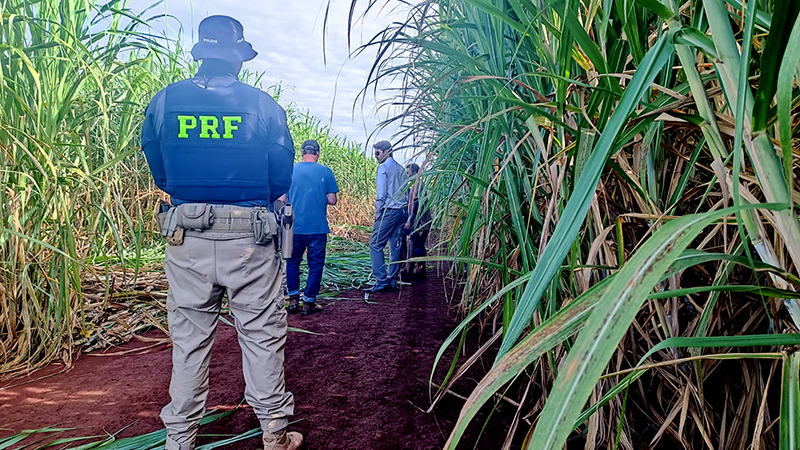 A PRF junto com o Ministério do Trabalho participa de fiscalização de condições de trabalho