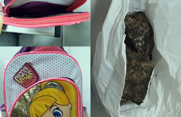 Maconha é encontrada dentro de mochila do bebê em escola municipal de Rio Preto