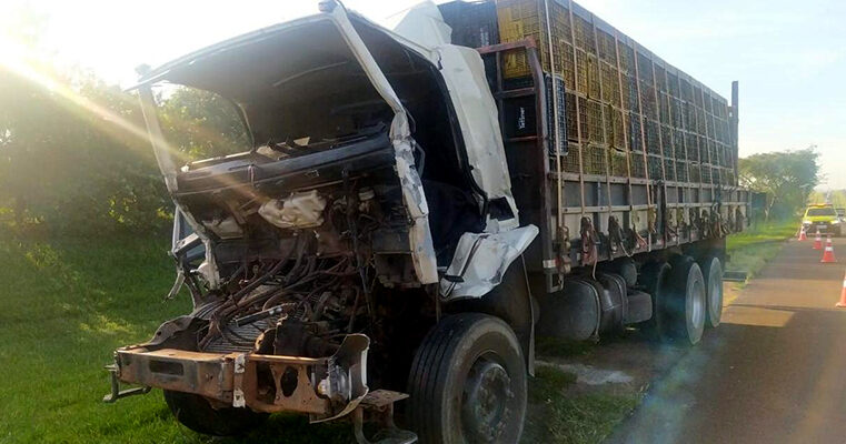 Caminhões se chocam entre Rio Preto e Cedral e os dois motoristas ficam feridos