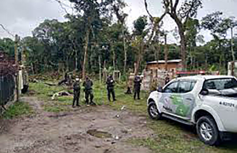 Polícia Ambiental deflagra megaoperação em Rio Preto e região