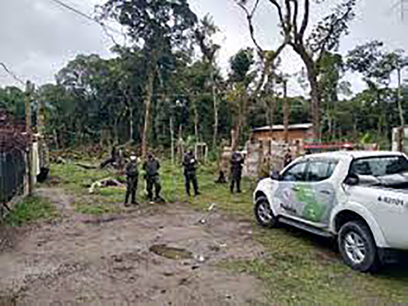 Polícia Ambiental deflagra megaoperação em Rio Preto e região