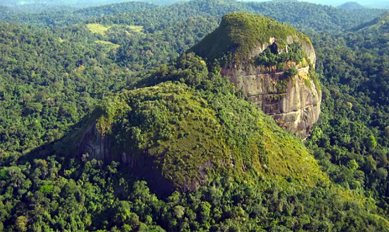 Helicóptero desaparecido na Amazônia é encontrado com todos os tripulantes vivos