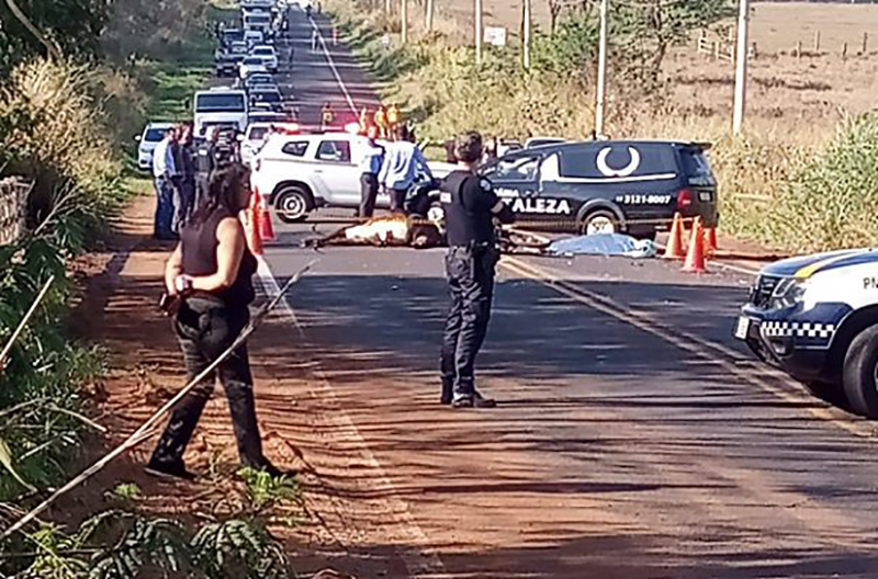 Motociclista morre ao atropelar vaca solta em rodovia de Ipiguá