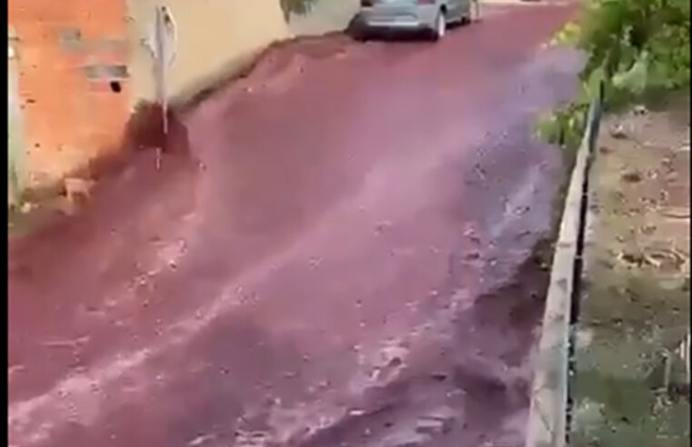 Cidade portuguesa é tomada por rio de vinho