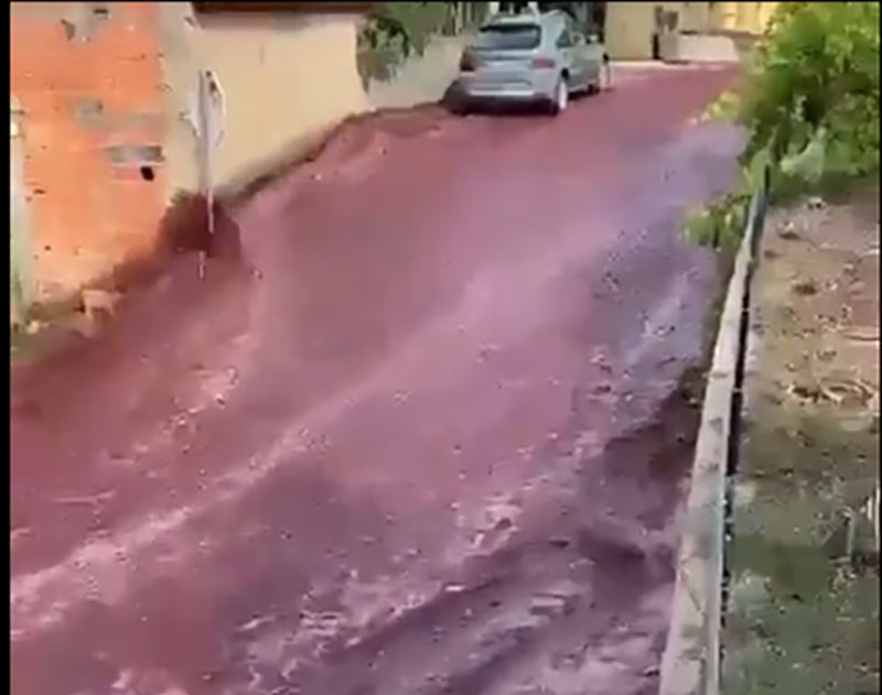 Cidade portuguesa é tomada por rio de vinho