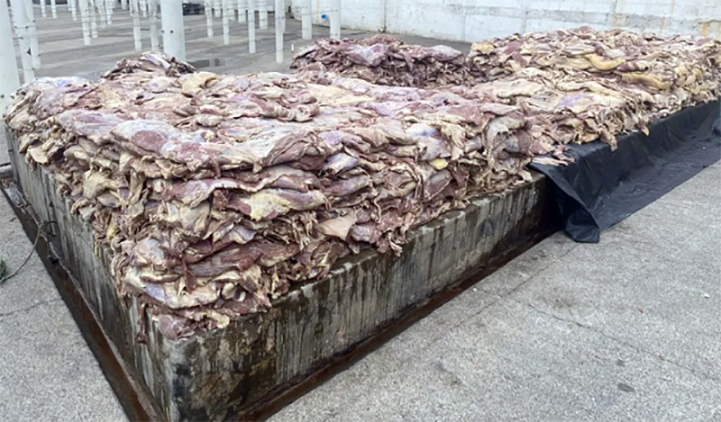 Polícia apreende 200 toneladas de carne estragada que seriam vendidas como charque