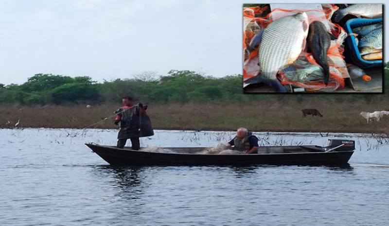 Pescadores profissionais são ‘fisgados’ em flagrante pescando de forma irregular