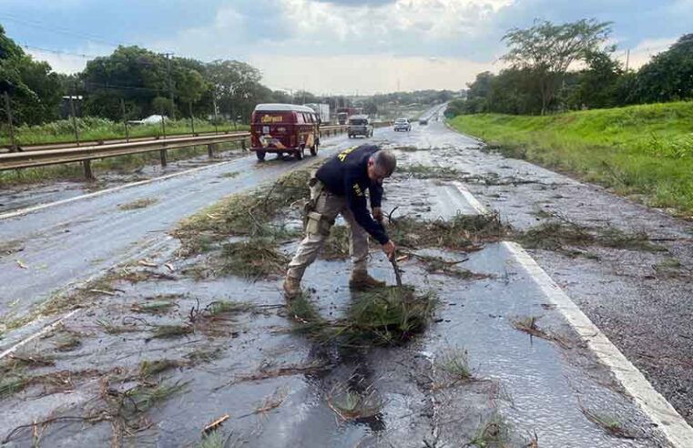 Vendaval obriga lentidão no trânsito da BR 153