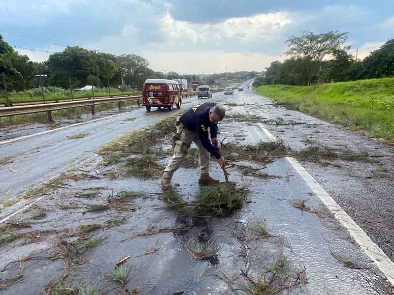 Vendaval obriga lentidão no trânsito da BR 153