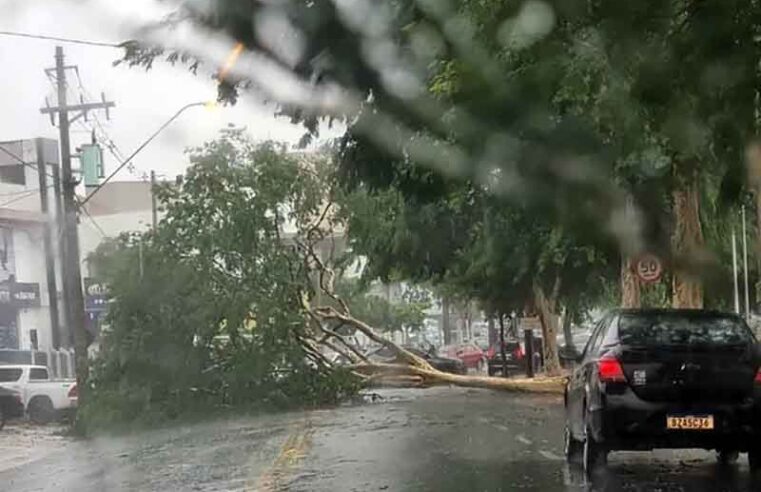 Manhã chuvosa assusta rio-pretenses