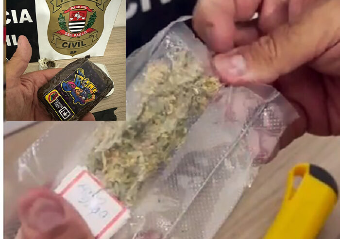 Polícia Civil apreende haxixe e flor de maconha enviados pelos Correios