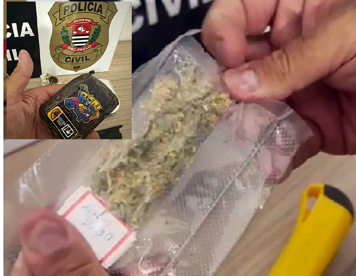 Polícia Civil apreende haxixe e flor de maconha enviados pelos Correios