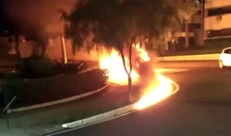 Carro bate em árvore e pega fogo na madrugada desta quinta