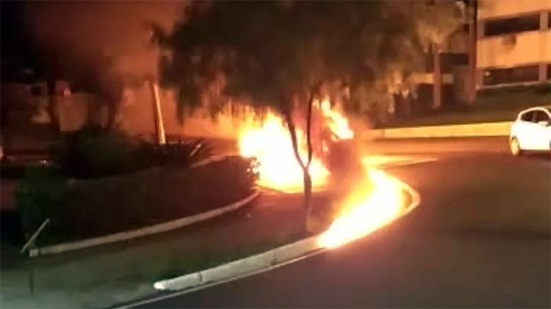 Carro bate em árvore e pega fogo na madrugada desta quinta