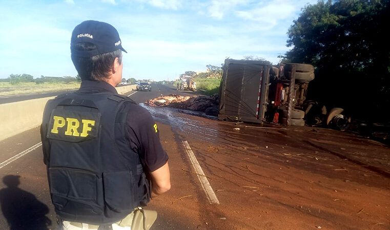 Caminhão carregado de couro bovino capota e deixa BR 153 horas interditada