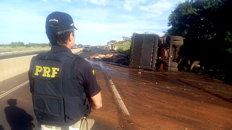 Caminhão carregado de couro bovino capota e deixa BR 153 horas interditada