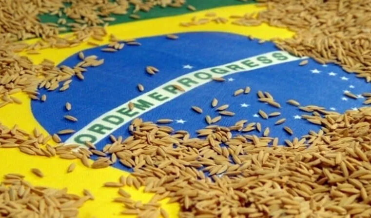 Confederação da Agricultura e Pecuária do Brasil desafia decisão do governo e aciona STF contra importação de arroz