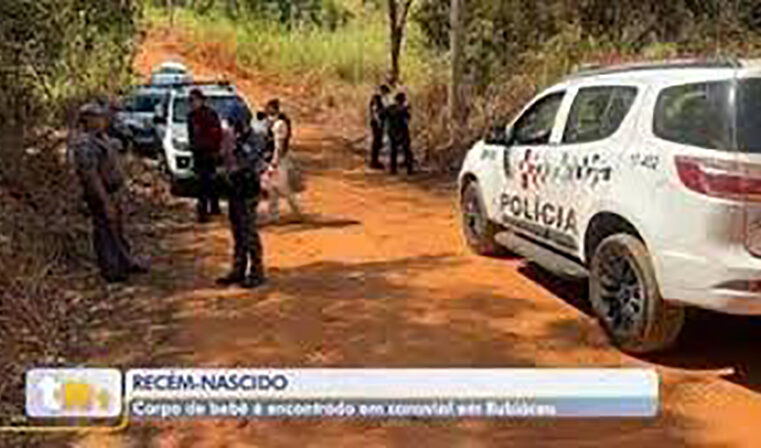 Bebê é encontrado morto dentro de saco plástico em canavial de Rubiácea