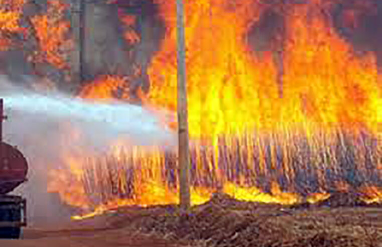 Sobe para 6 o número de suspeitos presos por incêndios no interior de São Paulo