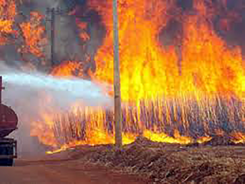 Sobe para 6 o número de suspeitos presos por incêndios no interior de São Paulo