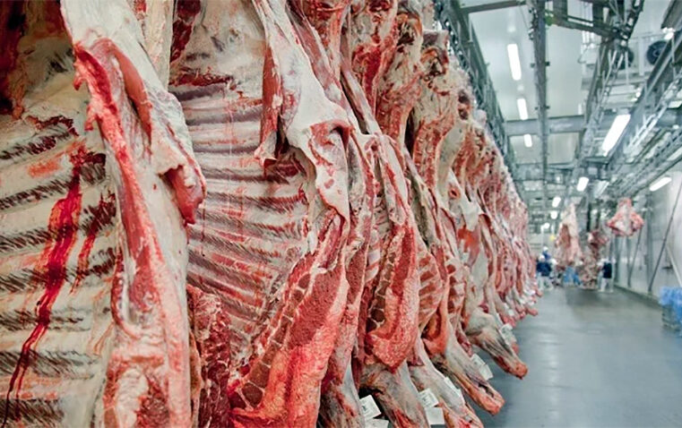 Canadá retoma a importação de carne bovina brasileira