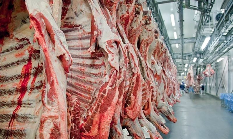 Canadá retoma a importação de carne bovina brasileira