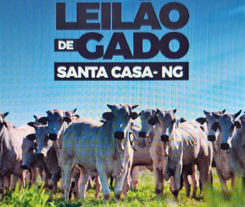 Leilão em prol da Santa Casa de Nova Granada