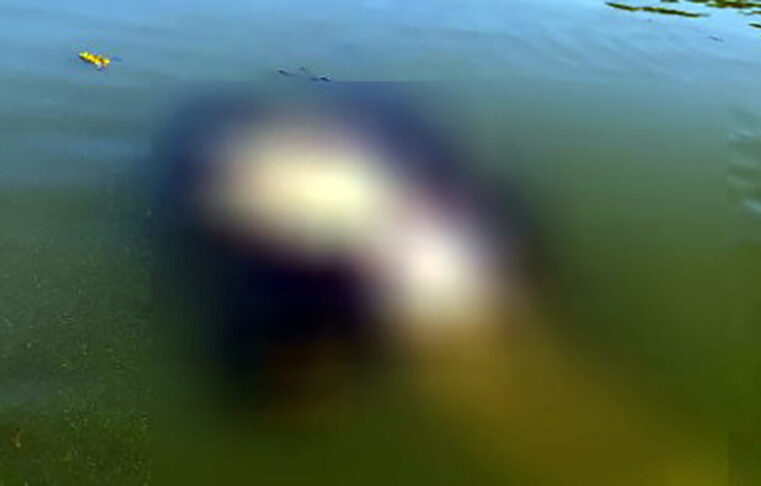 Corpo é encontrado amarrado e sem os braços no rio Tietê em Sales