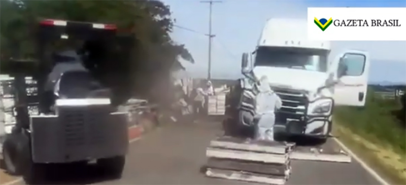 Caminhão tomba e libera 250 milhões de abelhas em estrada nos EUA