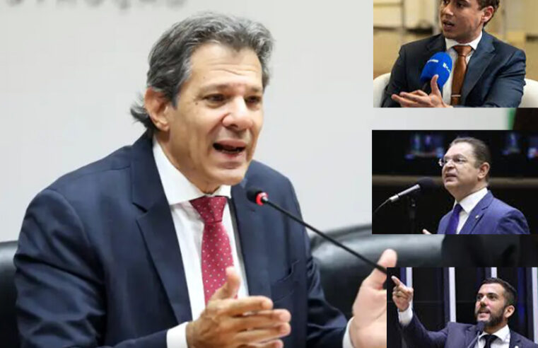 Líder do PL chama Haddad de “burro” e “analógico” após fala sobre vídeo de Nikolas