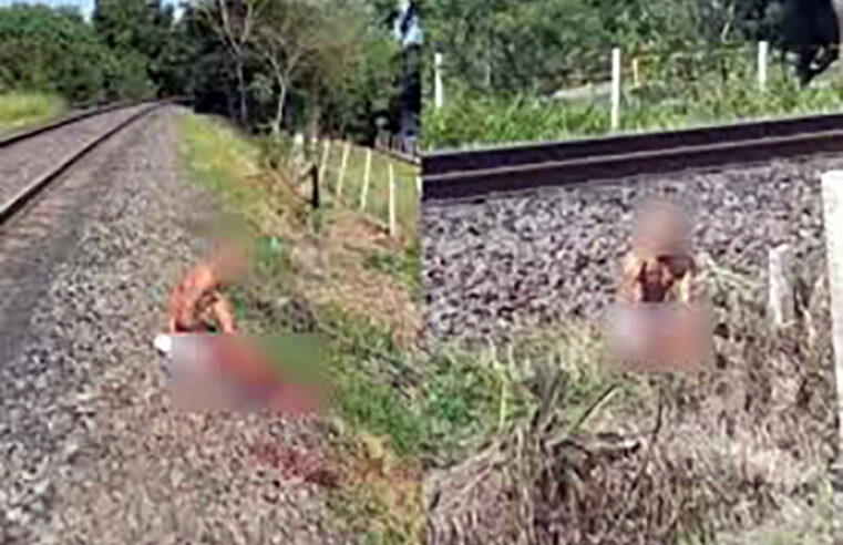 Ladrão foge após furto, é atropelado por trem e perde parte da perna direita em Pindorama