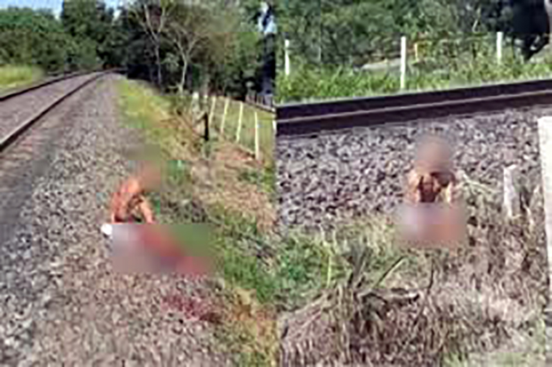 Ladrão foge após furto, é atropelado por trem e perde parte da perna direita em Pindorama
