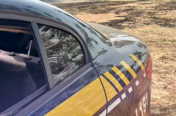 PRF detém suspeito de provocar incêndio às margens da BR-153 em São José do Rio Preto