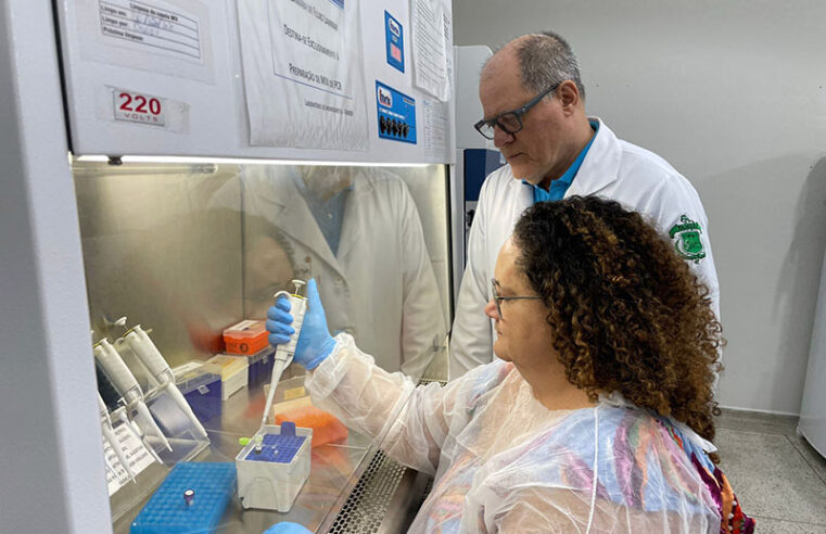 Famerp, Rede Toxo e Fiocruz reúnem especialistas nacionais e internacionais para discutir os avanços sobre toxoplasmose