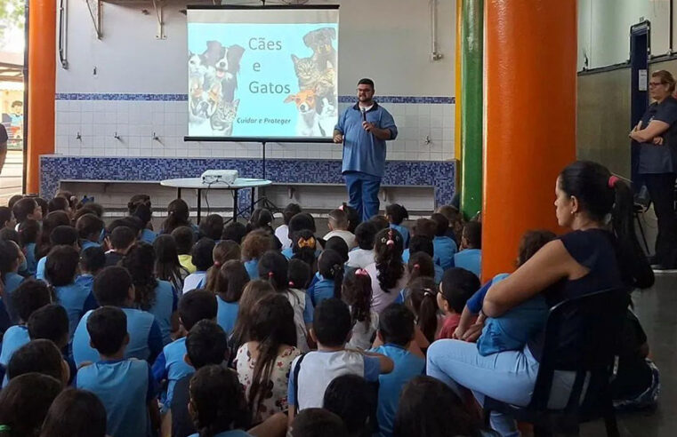 Cuidando dos amiguinhos