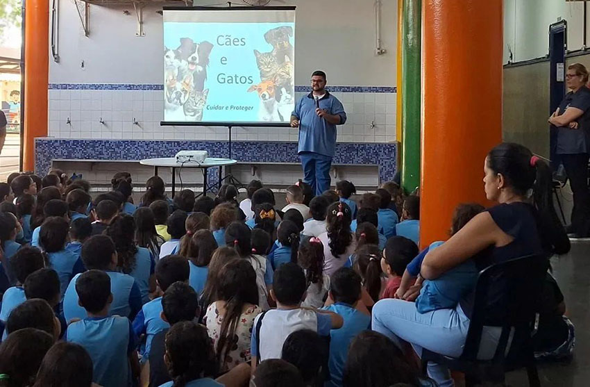 Cuidando dos amiguinhos