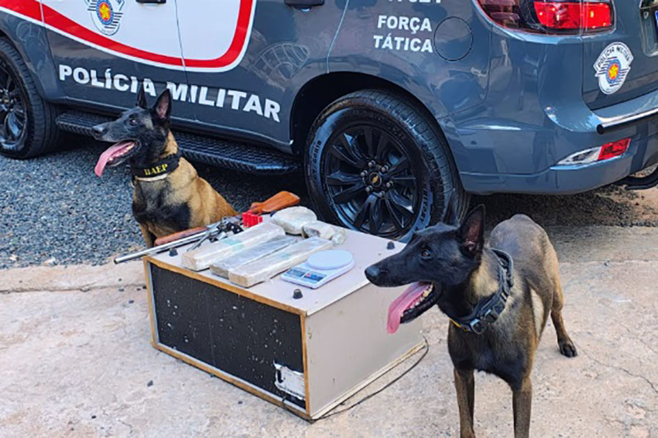 Homem que ameaçava a mãe é preso com drogas e armas em Rio Preto