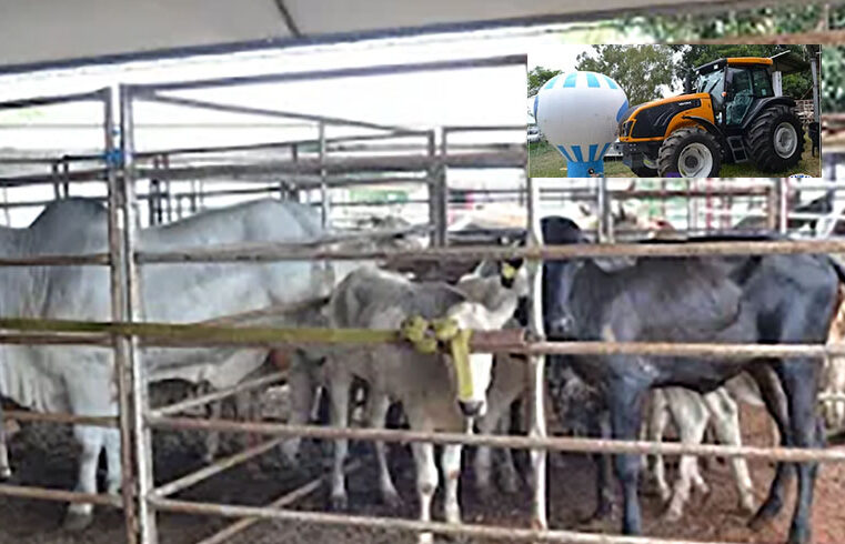 Mais um momento de vitória na história de Nova Granada, o Leilão da Santa Casa