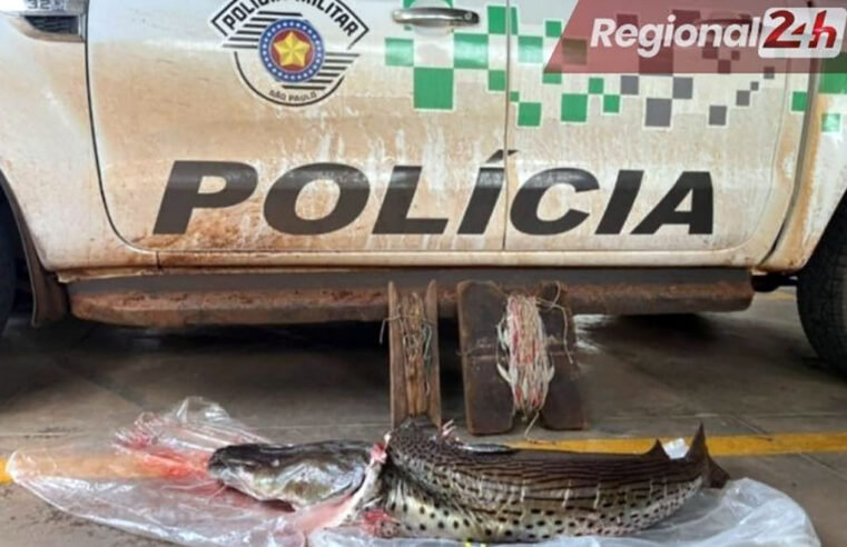 Ambiental flagra quarteto por pesca predatória