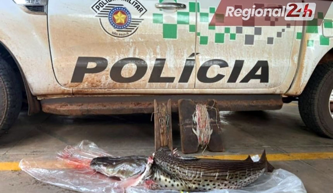 Ambiental flagra quarteto por pesca predatória