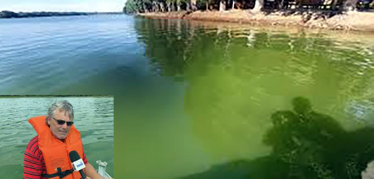 Trecho do Rio Tietê volta a ter coloração verde no interior de SP: ‘Vira aquela sopa de ervilha’, diz presidente de frente parlamentar