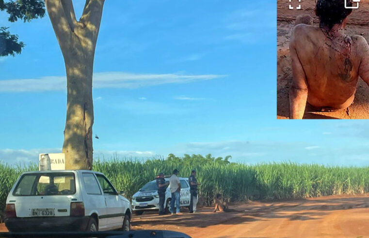 Em Nova Granada homem é encontrado em canavial após ser esfaqueado com ao menos 13 golpes