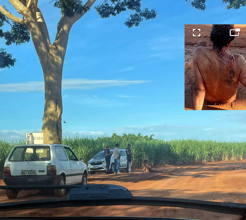 Em Nova Granada homem é encontrado em canavial após ser esfaqueado com ao menos 13 golpes