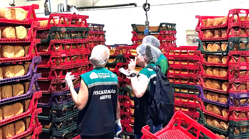 Fábrica de pães é interditada em Fortaleza com 11 toneladas de alimentos estragados e infestação de baratas