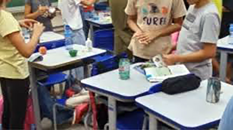 TCE aponta falhas em escolas de 17 cidades da região noroeste de SP