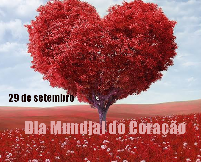 29 / setembro / 2026